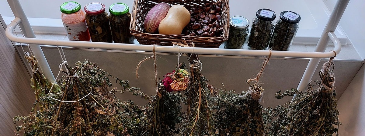 Green Living in Casey Champion Amy Mead