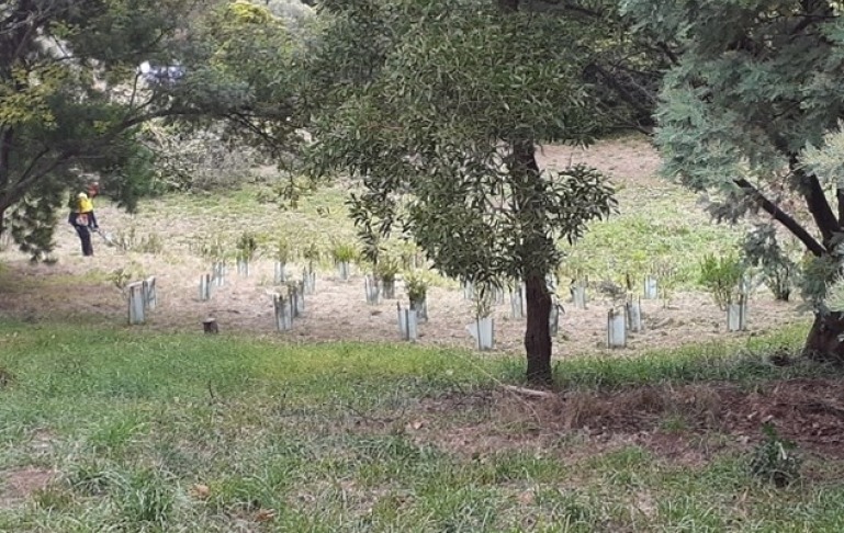 Wilson Botanic Park’s Bird Attracting Area