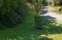 Wilson Botanic Park’s Bird Attracting Area