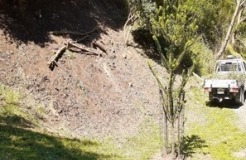 Wilson Botanic Park’s Bird Attracting Area