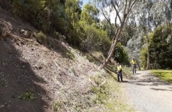 Wilson Botanic Park’s Bird Attracting Area
