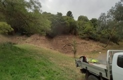 Wilson Botanic Park’s Bird Attracting Area