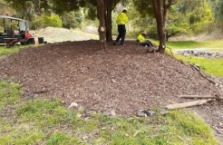 Wilson Botanic Park’s Bird Attracting Area