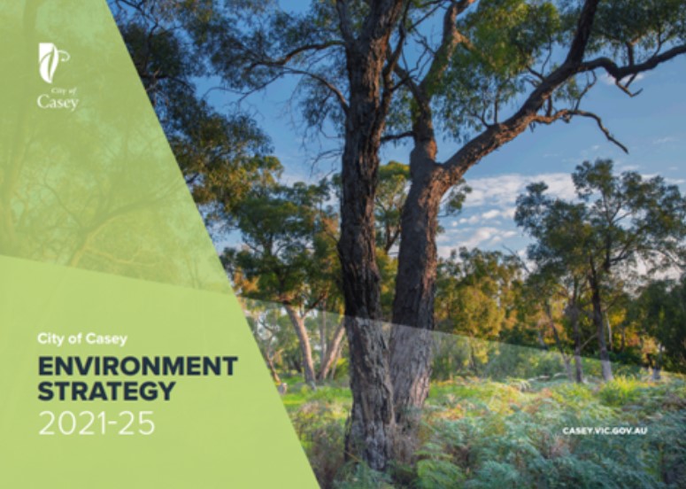 environment strategy cover