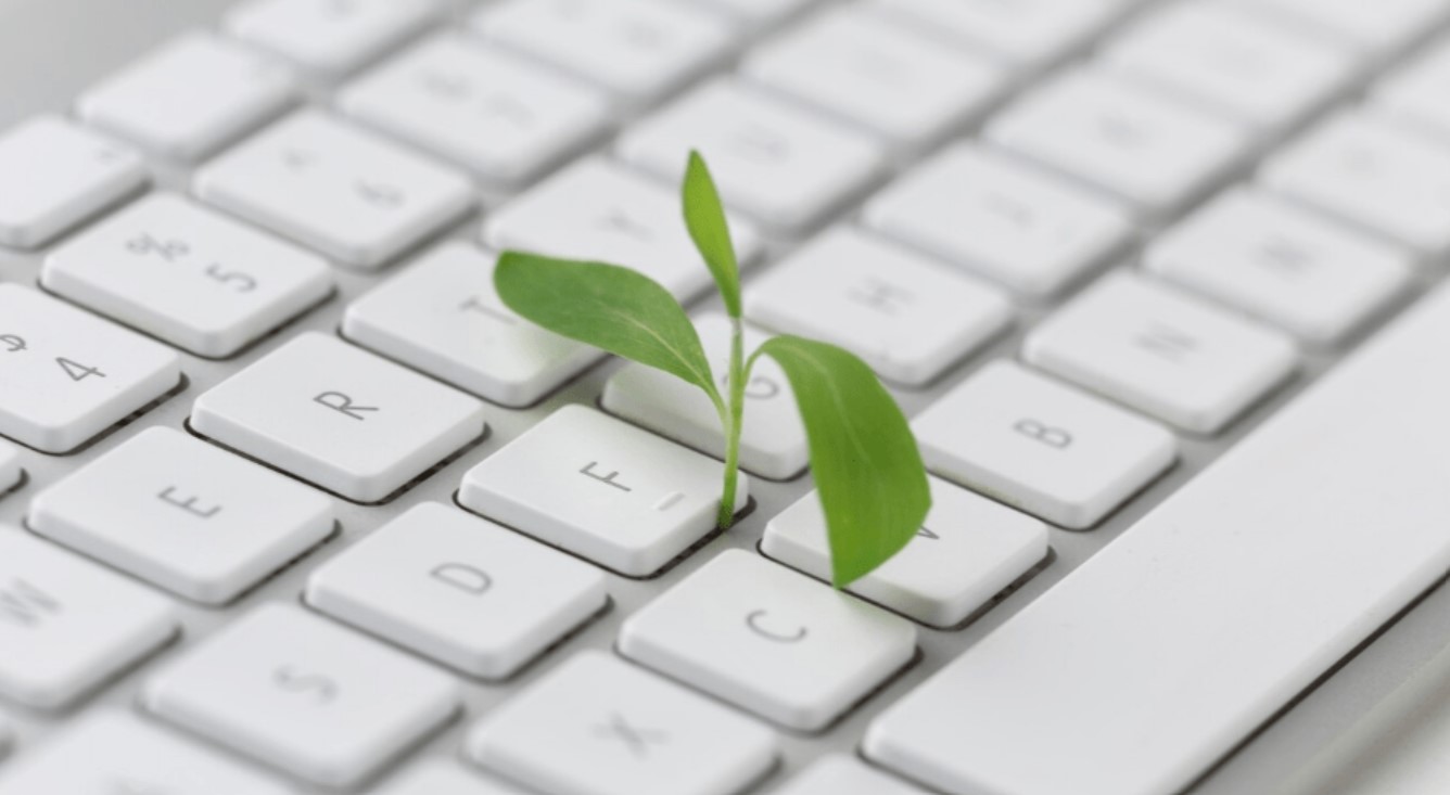 leaf growing out of keyboard
