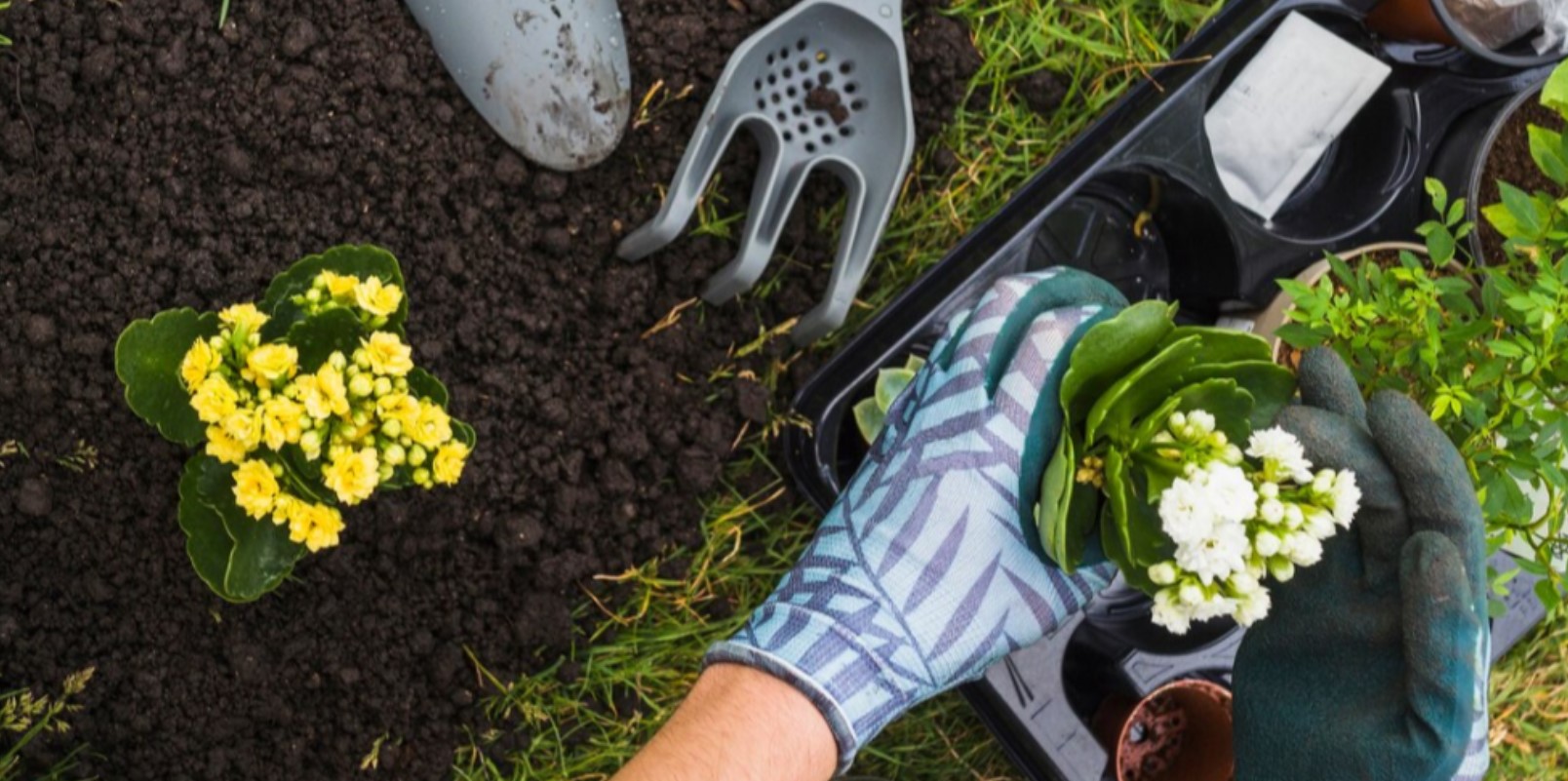 people gardening with gloves