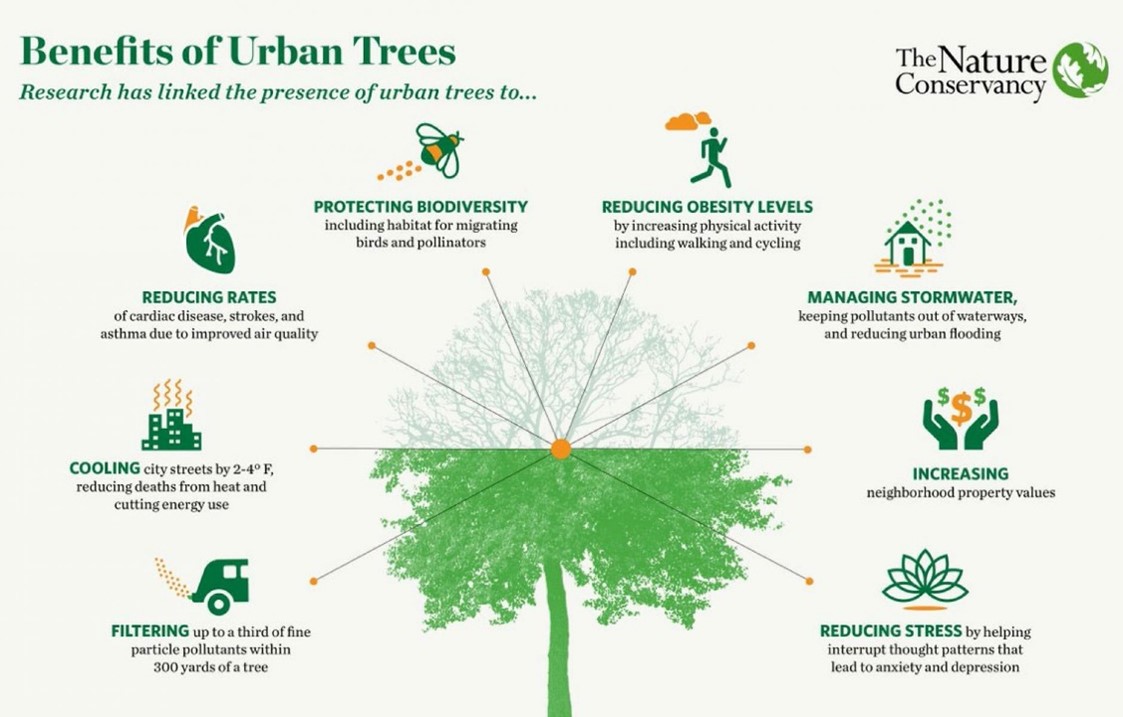 benefits of tress